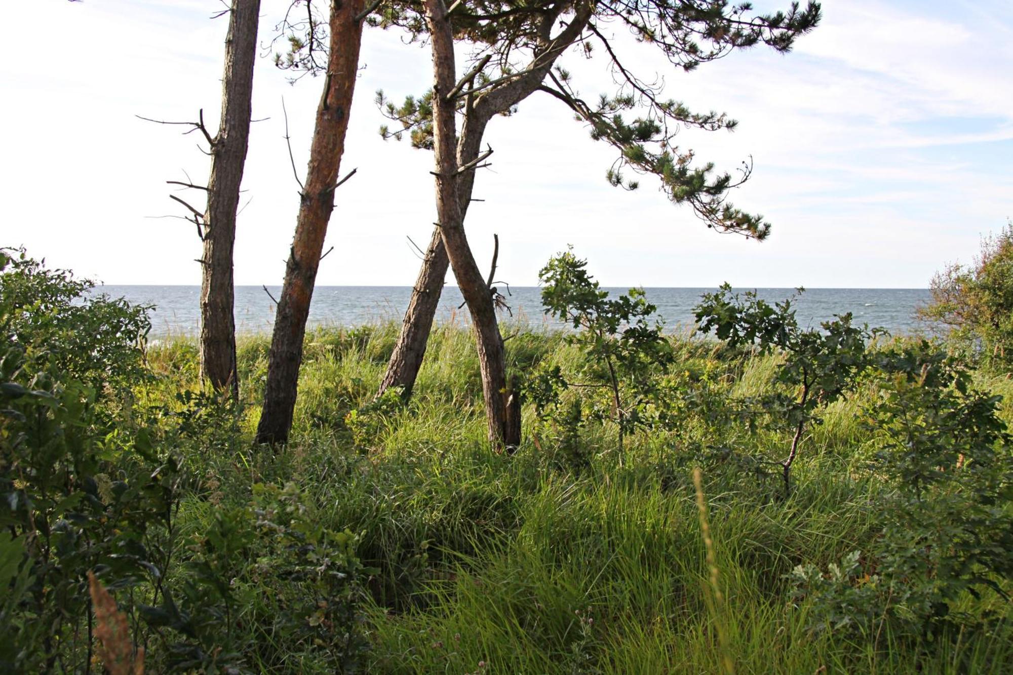 Let'S Sea - 2 Bedroom - Premium Baltic Apartment With Front Sea View Garden And Spa Access Gąski Exterior photo