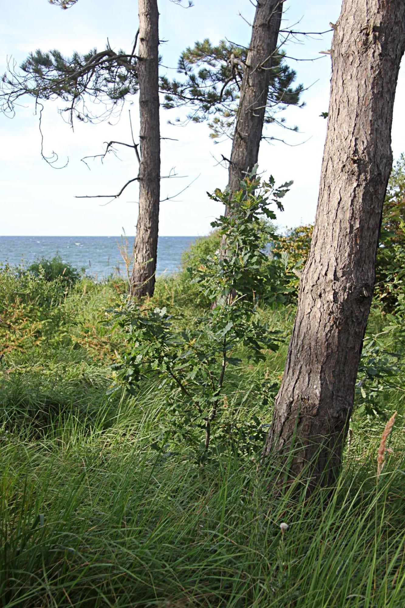 Let'S Sea - 2 Bedroom - Premium Baltic Apartment With Front Sea View Garden And Spa Access Gąski Exterior photo