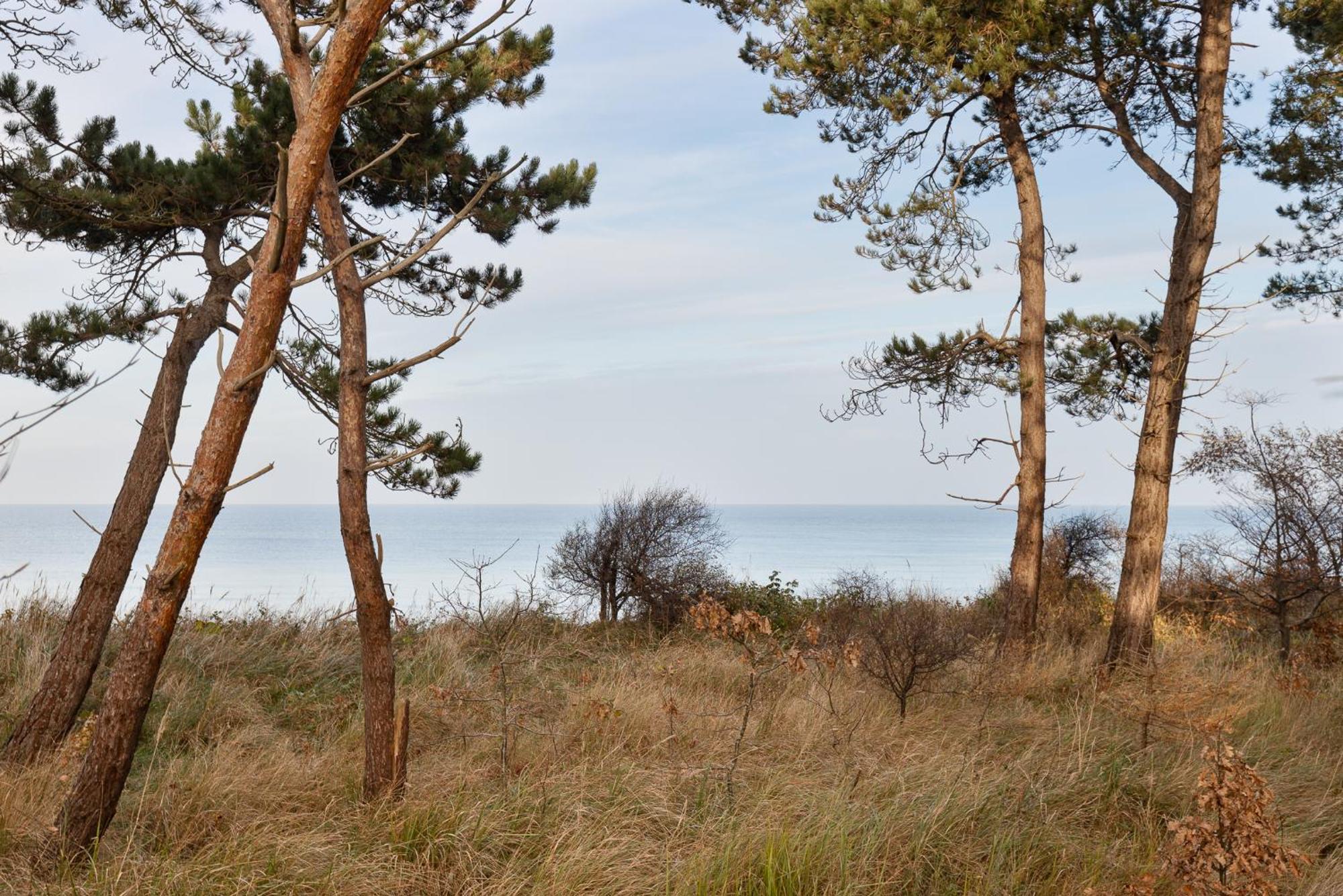 Let'S Sea - 2 Bedroom - Premium Baltic Apartment With Front Sea View Garden And Spa Access Gąski Exterior photo